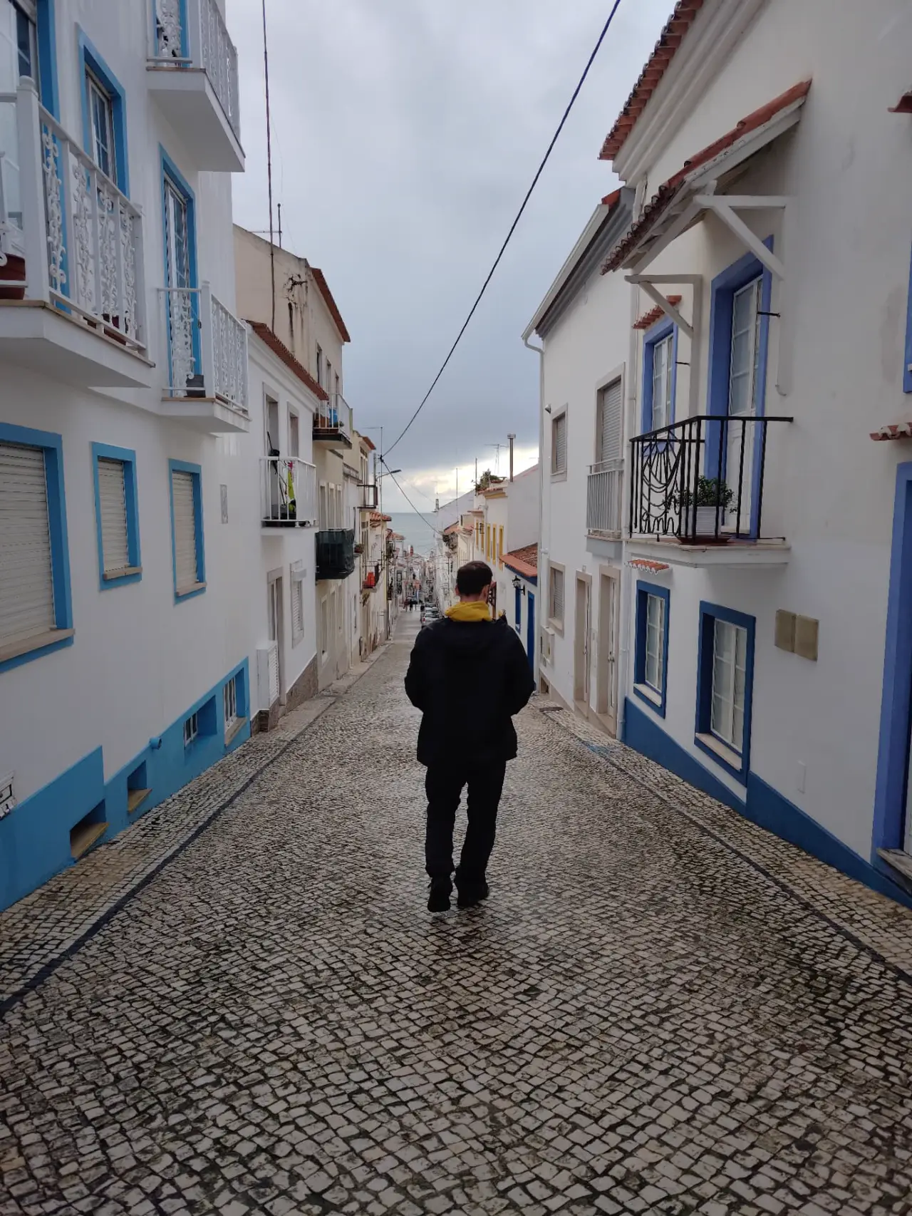 Cobbled street with blue-and-white houses leading to the sea