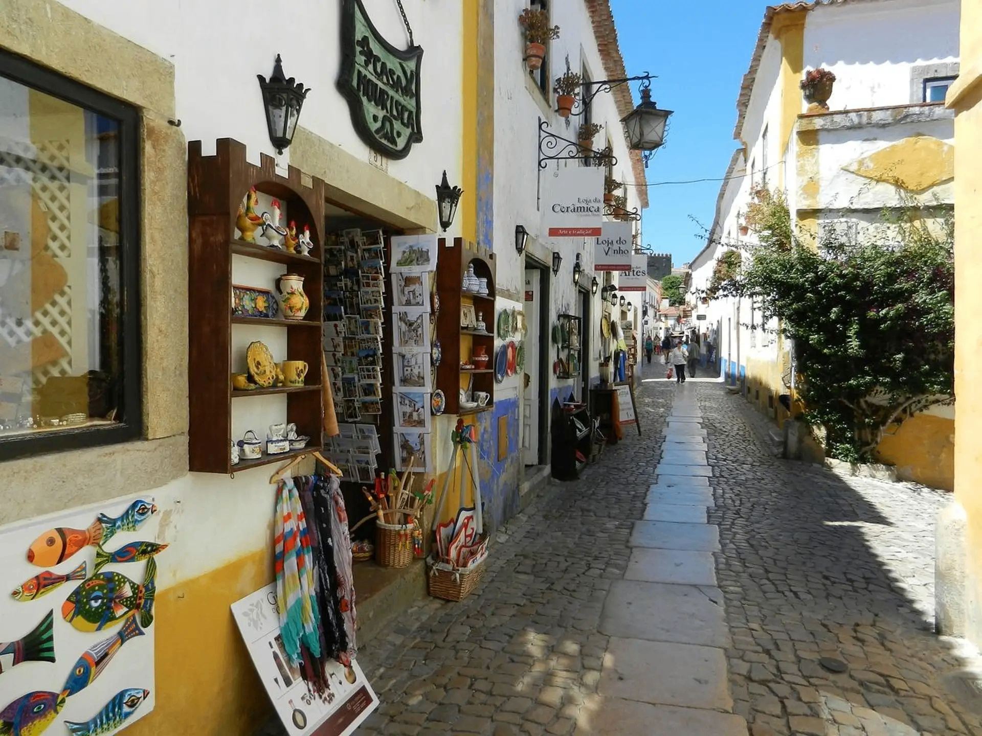Best of Nazaré guided tour