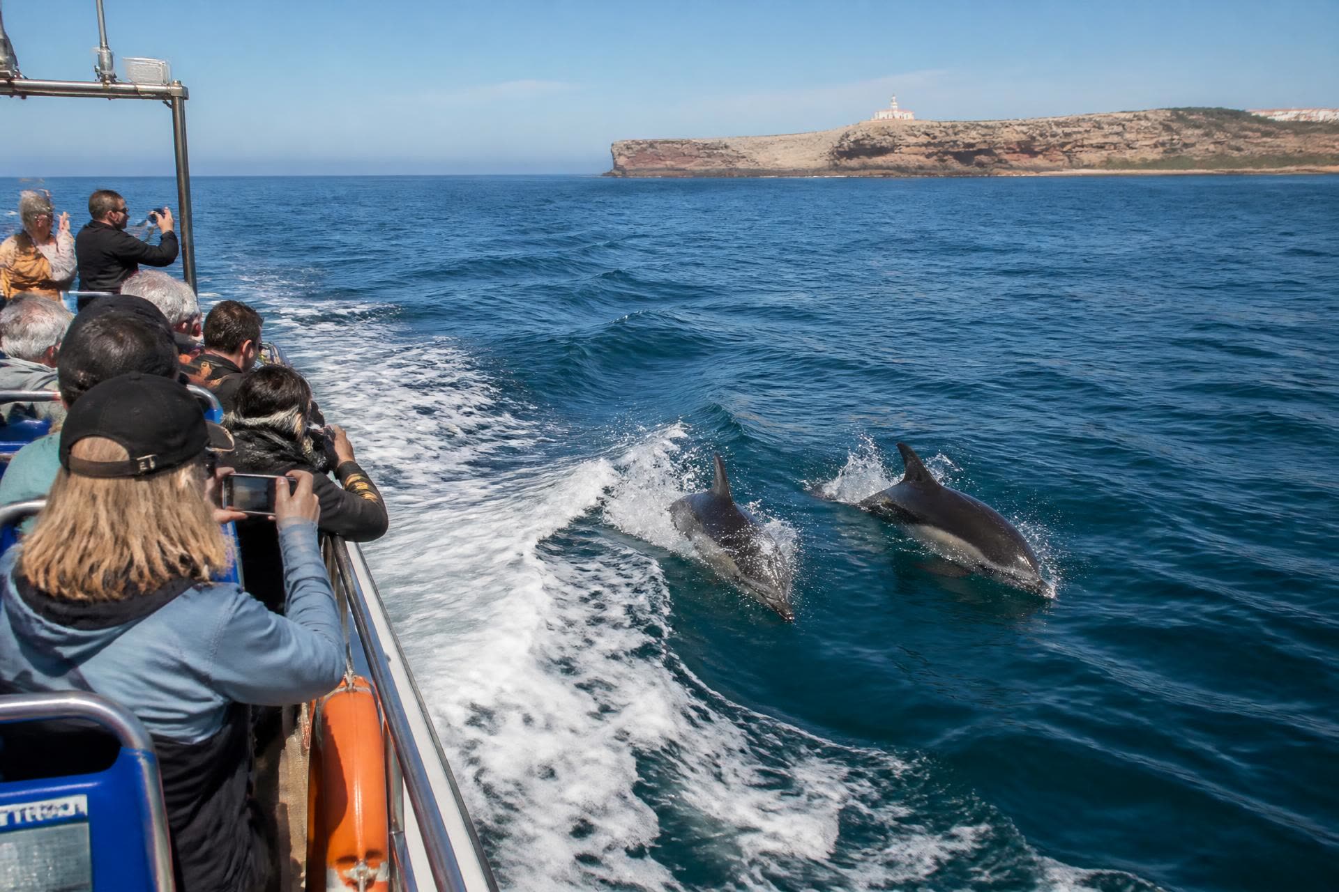Passengers on a small tour boat watching two dolphins surface in the wake off the Nazaré coast